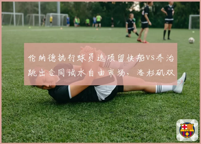 伦纳德执行球员选项留快船vs乔治跳出合同试水自由市场,洛杉矶双星去向分化