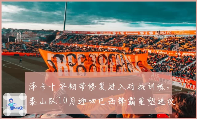 泽卡十字韧带修复进入对抗训练,泰山队10月迎回巴西锋霸重塑进攻体系