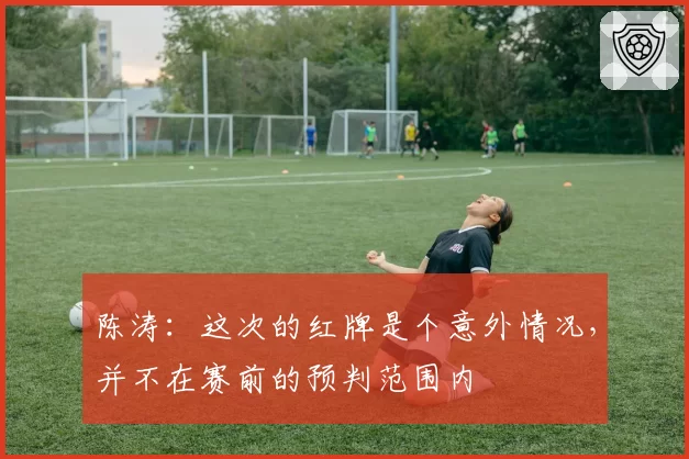 陈涛：这次的红牌是个意外情况，并不在赛前的预判范围内