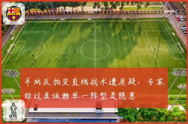 辛纳反拍变直线战术遭质疑,专家称过度依赖单一阵型是隐患