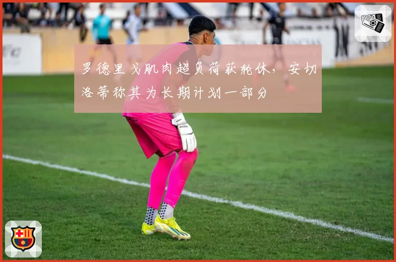 罗德里戈肌肉超负荷获轮休，安切洛蒂称其为长期计划一部分